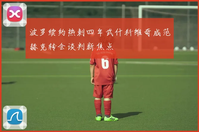 波罗续约热刺四年武什科维奇成范赫克转会谈判新焦点